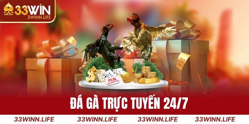 Đá gà trực tuyến 24/7