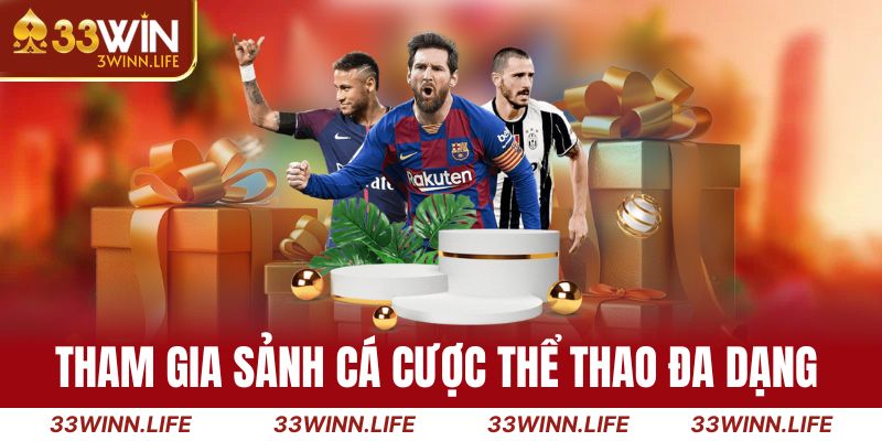 Tham gia sảnh cá cược thể thao đa dạng